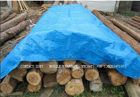 Hot Insulated Construction Concrete Curing PE Blanket