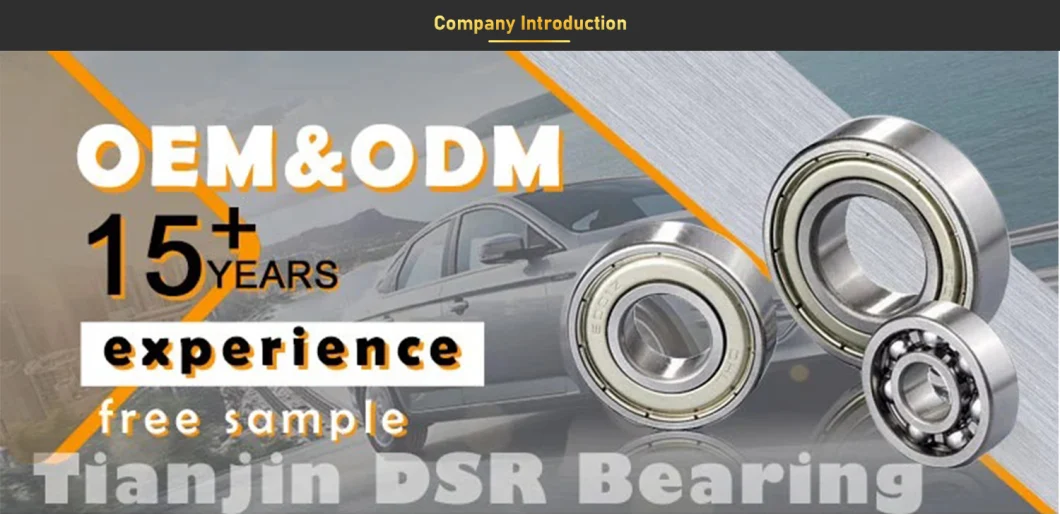 2306K Self-Aligning Ball Bearing/ Contact Ball Bearing/ Deep Groove Ball Bearing/ Four Point Contact Ball Bearing/ Cylindrical Roller Bearing/ Needle Bearing