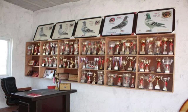 Promotional Customized Metal Trophy for Gift Custom Animal Shape Souvenir Trophy (03)