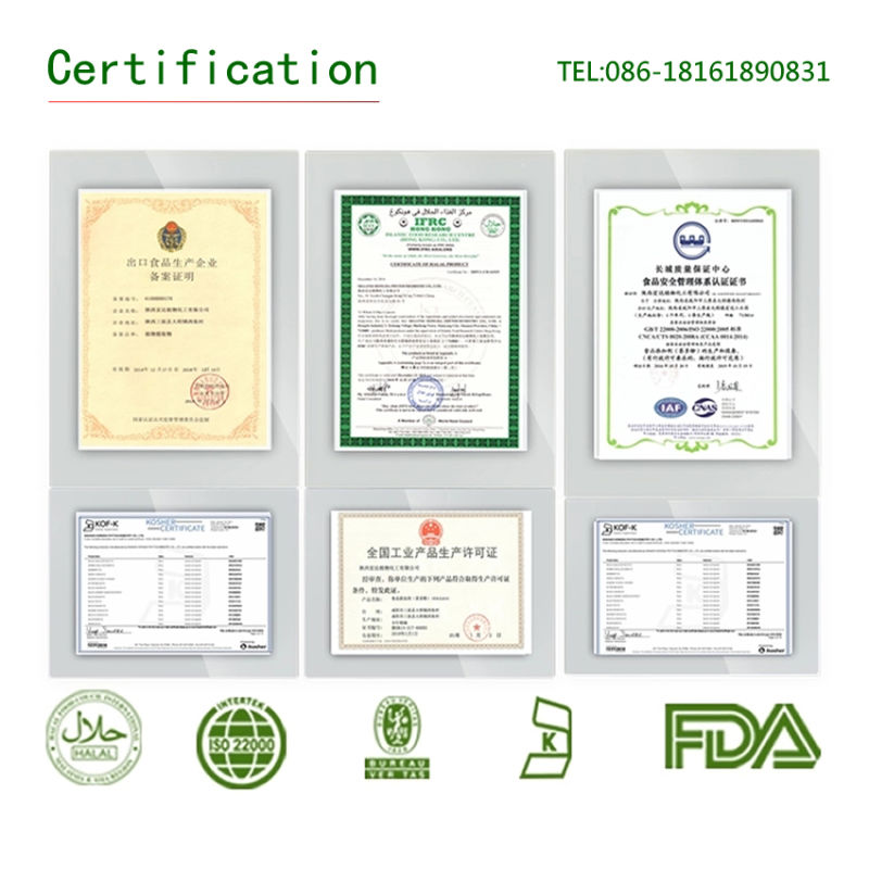 Reliable Supplier Mulberry Root-Bark Extract Cortex Mori Extract
