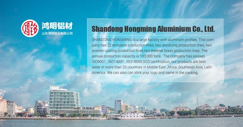 Long Lifetime Anodizing Matte Silver Aluminium Profile for Industry Product