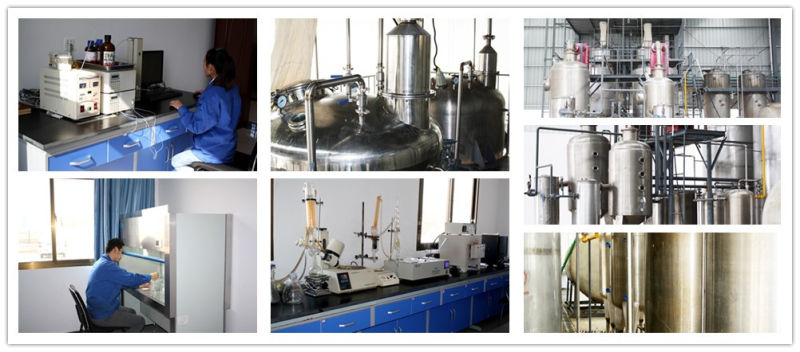 Pure Mulberry Leaf Extract 1-Dnj Powder