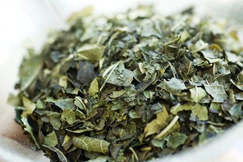 Mulberry Leaf Extract Morus Alba L Dnj 1% Kosher Certification Natural Plant Extract