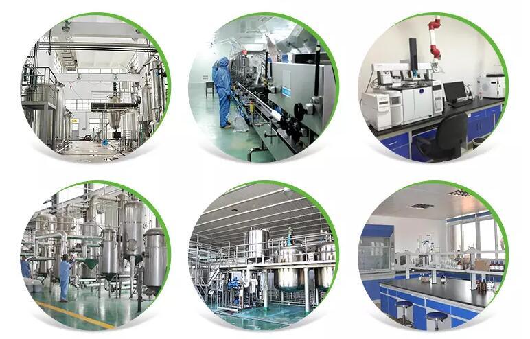 Factory Supply Guanidineacetic Acid /Chloroauric Acid