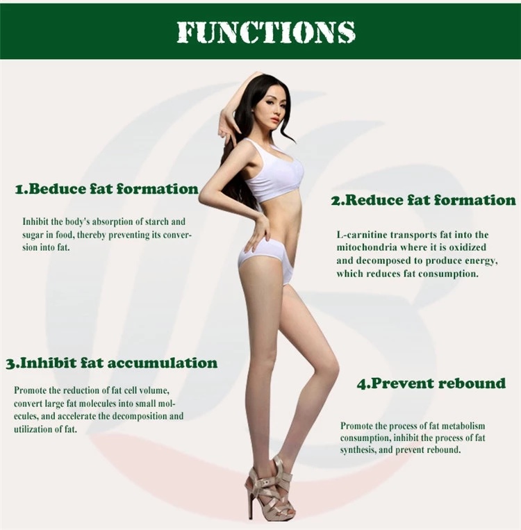 Weight Loss Slimming Capsule Burning Fat Capsule for Weight Management