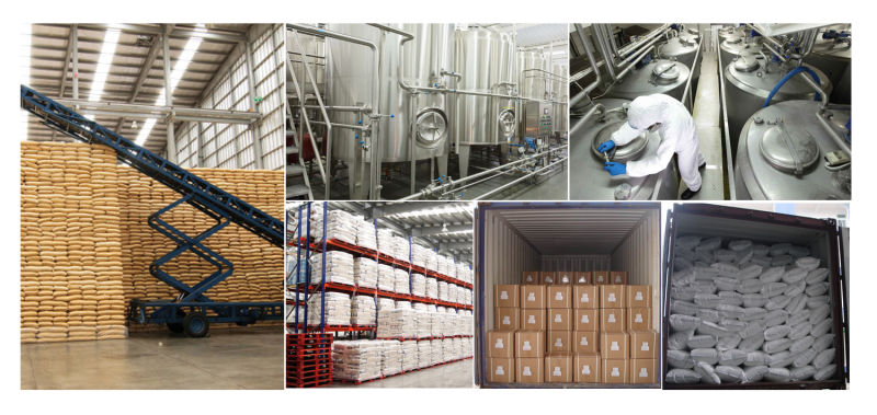 Factory Supply High Grade Stearic Acid/Octadecanoic Acid