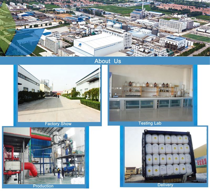 TCCA Trichloroisocyanuric Acid/TCCA 90% Granular/TCCA 90% Powder/ Tablet TCCA 90%