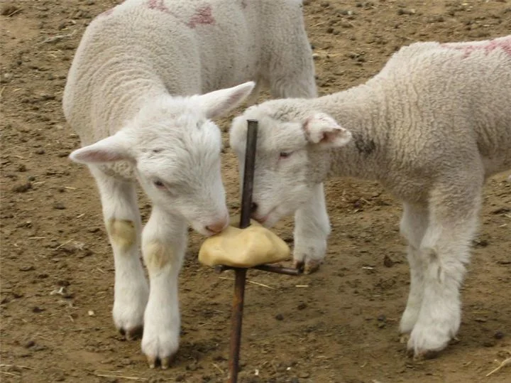Animal Nutrition Mineral Salt Lick Block for Sheep