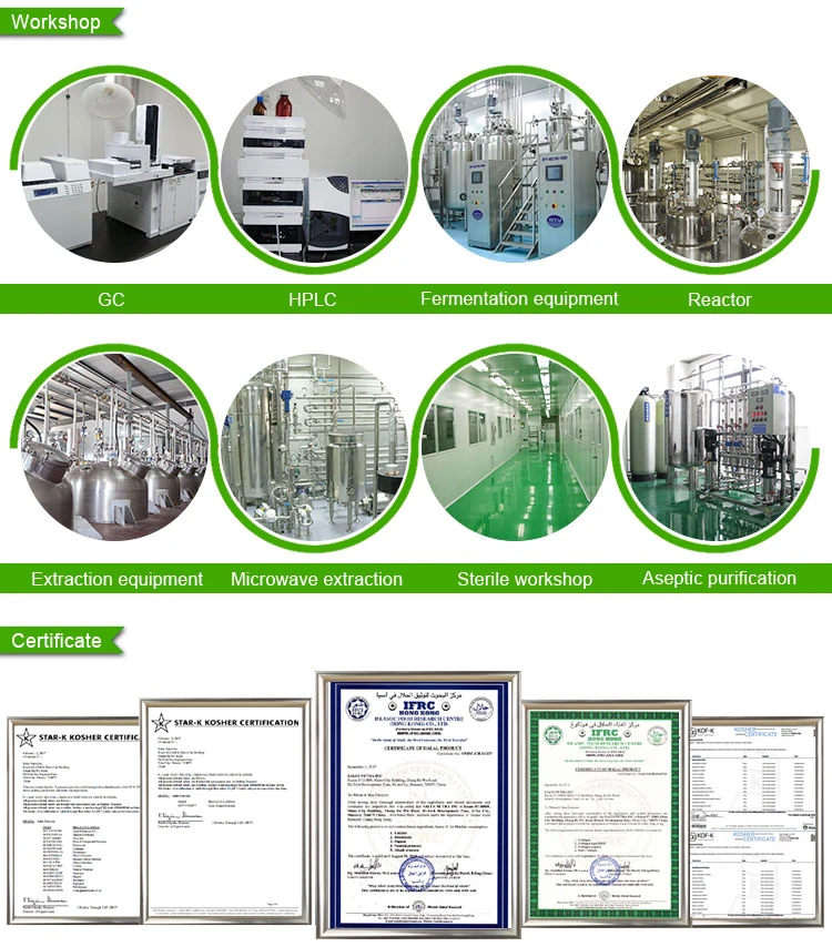 Best Price Preservative Rosemary Extract Carnosic Acid