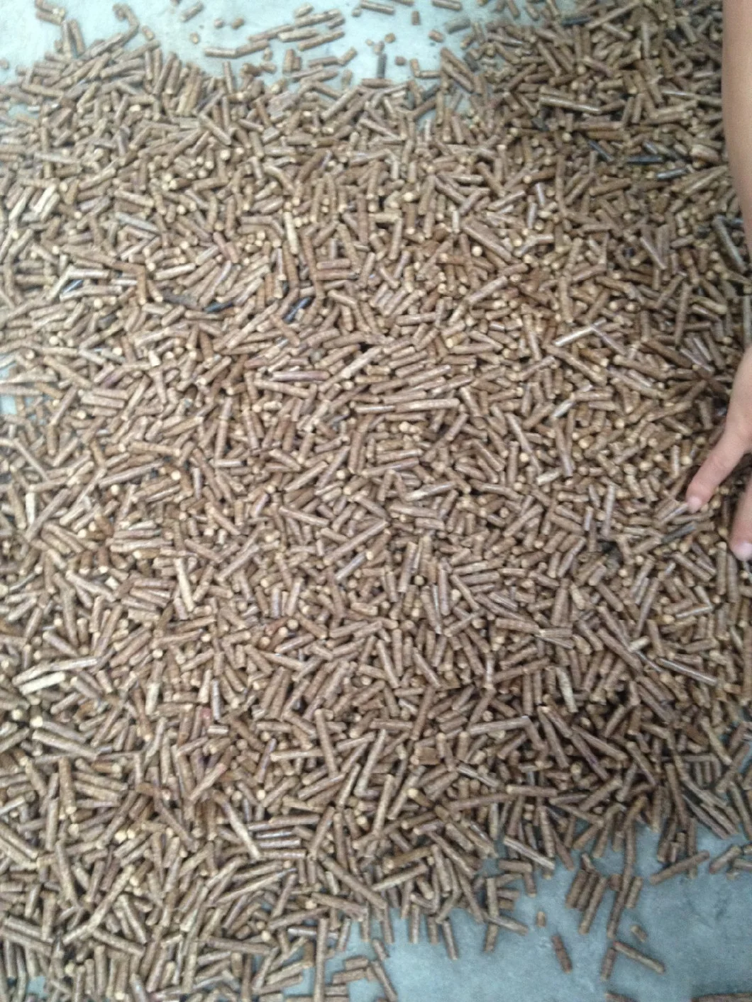 Pellet Making Machine Pelletizing Machine Wood Pellet Machine