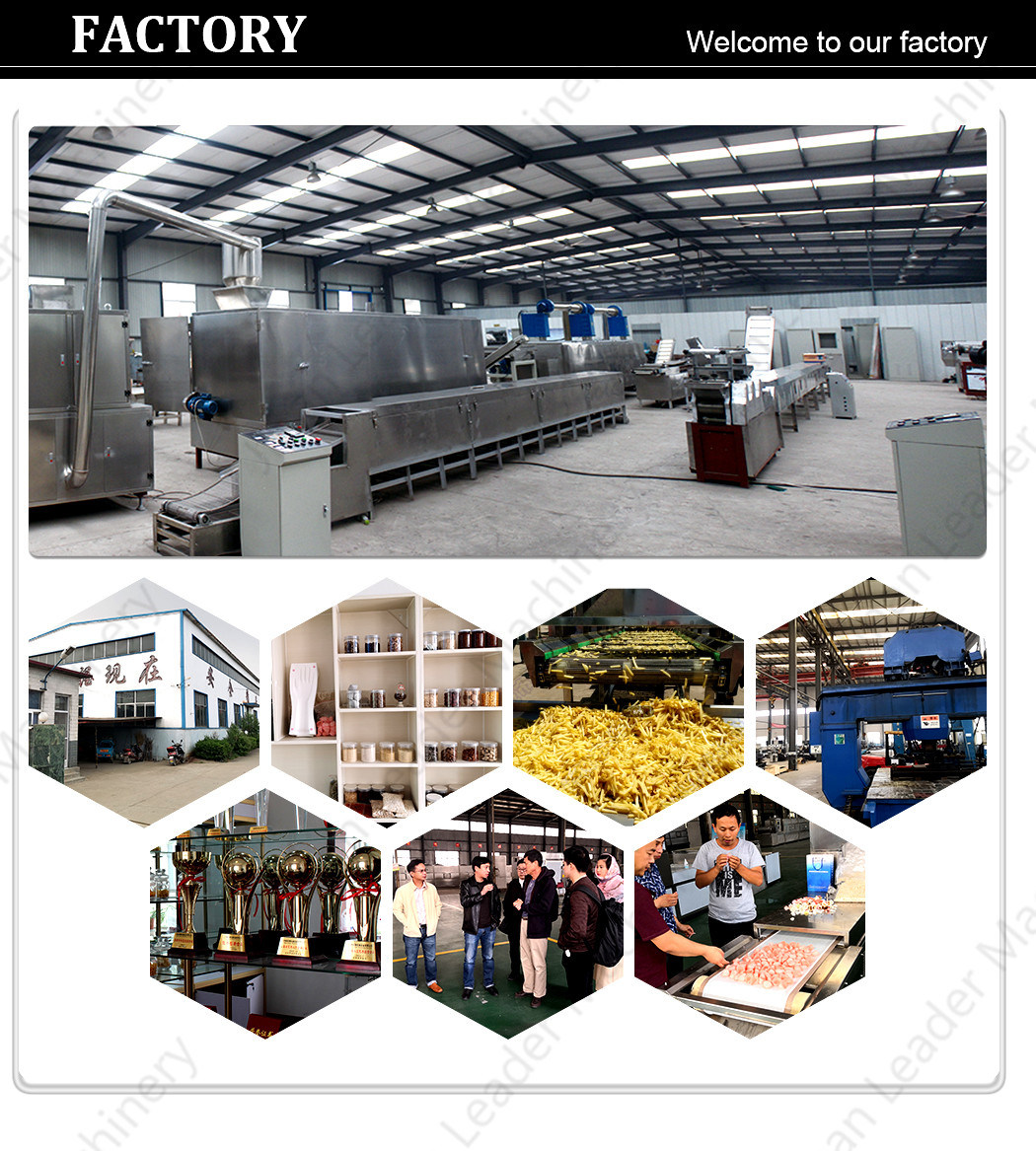 Screw Shell Chips Extruding Frying Process Line for Snack Pellets/Single-Screw Snack Food Equipment