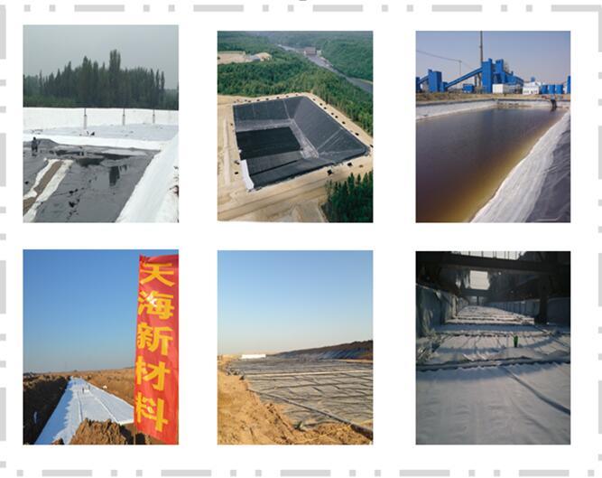 Waterproof Geomembrane Pond Liner for Mining Liner Price