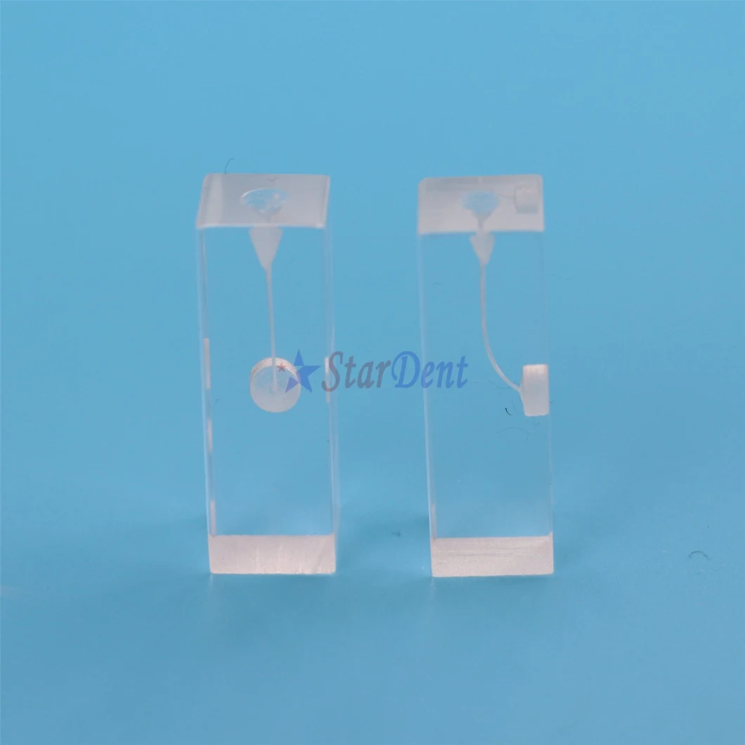 Dental Resin Endo Training Block Endo Files Holder Dental Practicing Model