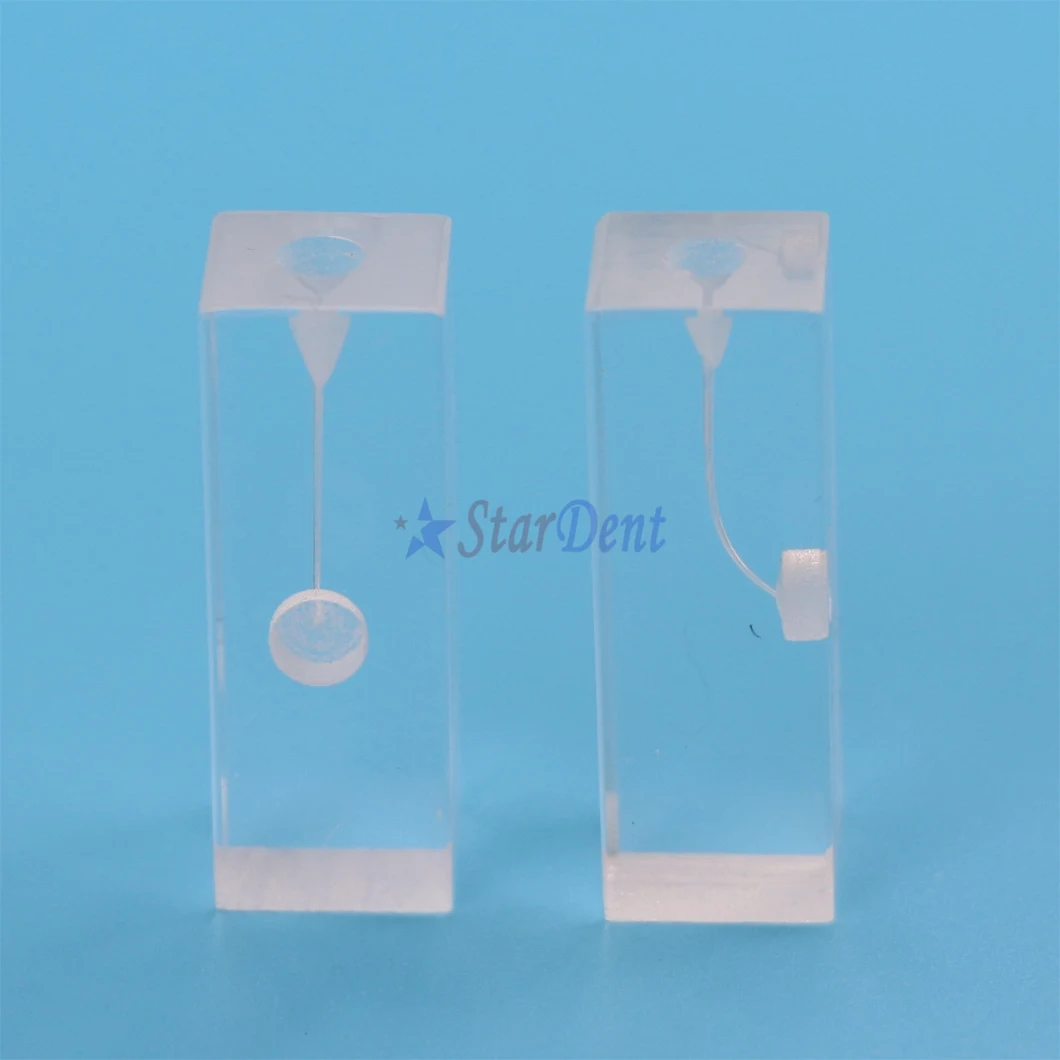 Dental Resin Endo Training Block Endo Files Holder Dental Practicing Model