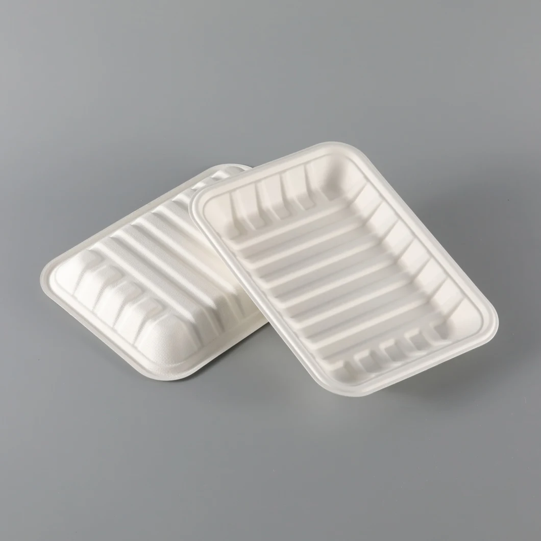 Eco-Friendly Biodegradabel Disposable Tray for Meat Tray Paper Tray Kitchen Utensils