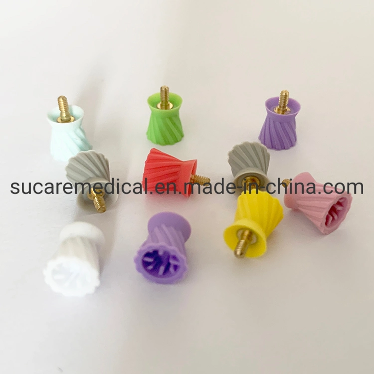 Disposable Colorful Dental Polishing Cup