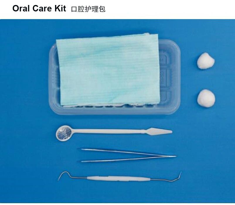 Medical Disposable Qichuang Factory Oral Care Kit