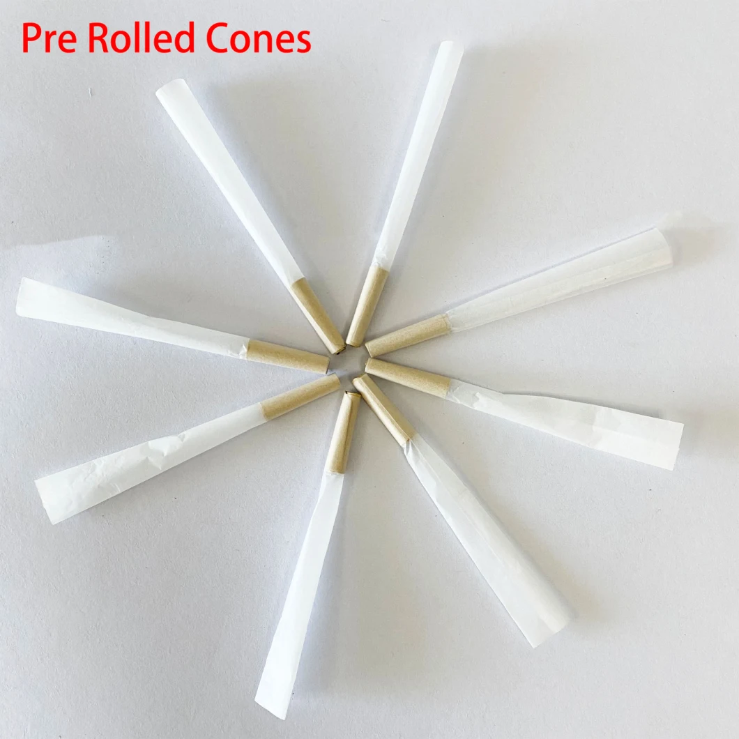 Hotvsale Pre-Rolled Cone with Filter Tips Custom Logo Cone Smoking Rolling Paper with Filter Tips