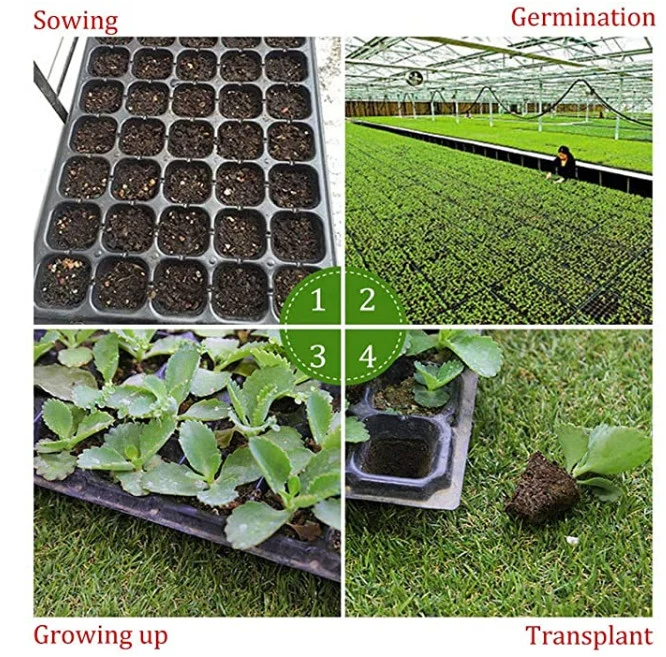 Plastic Seed Tray Smart Tray Growing Tray Nursery Tray Horticulture Tray