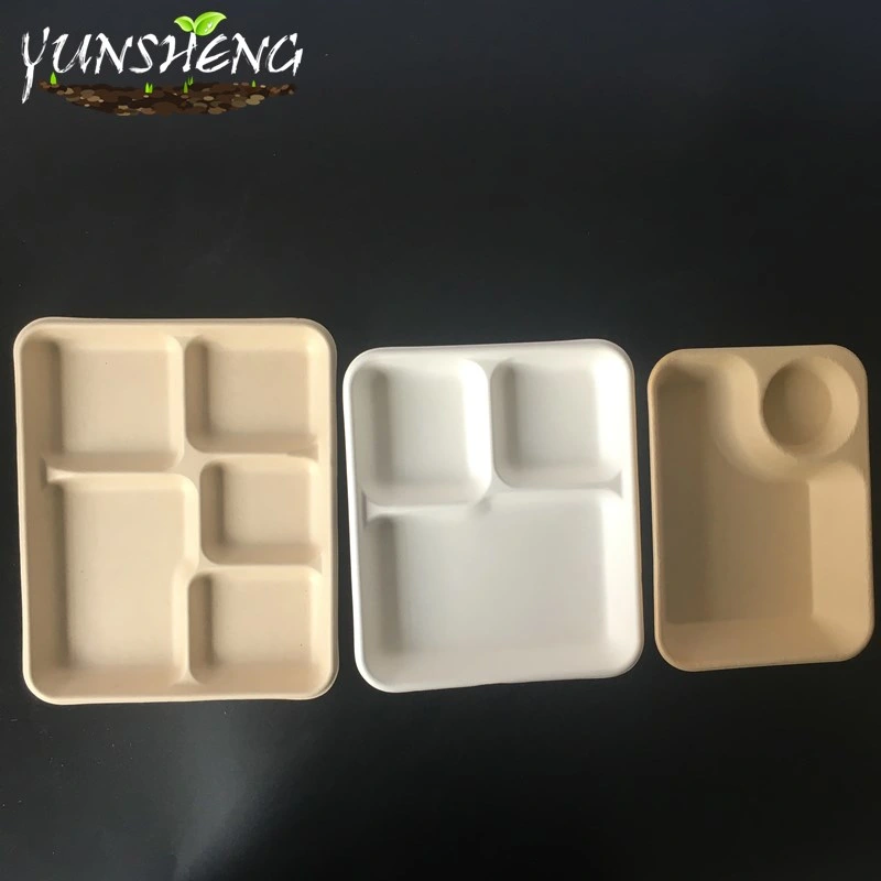 Compostable Disposable Kraft & Bamboo Paper Trays/Rectangle Trays/Round Trays for Party with Several Compartments