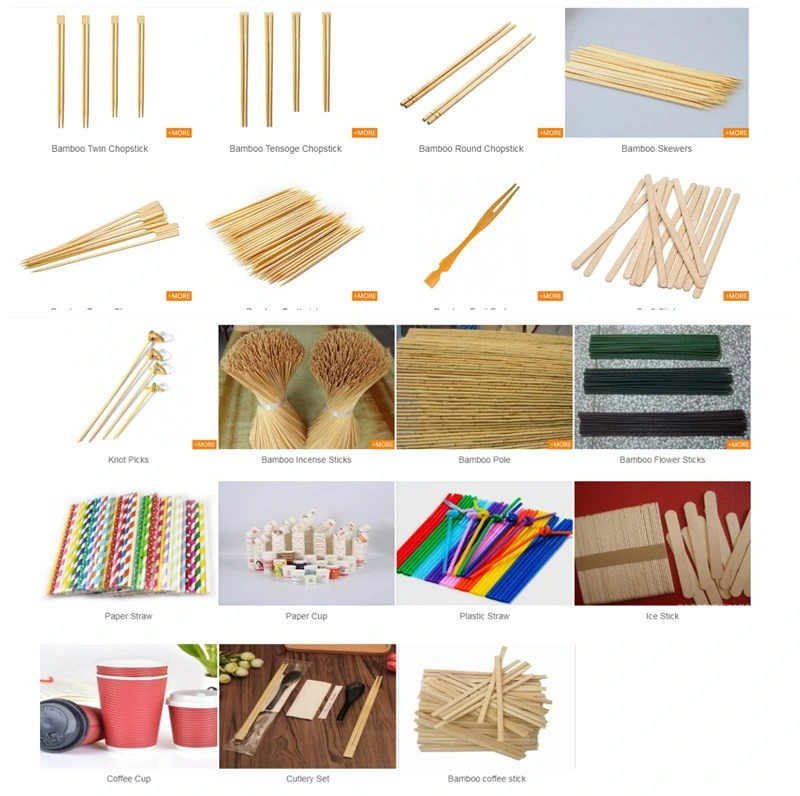 Eco-Friendly Disposable Bamboo Dental Toothpick with Plastic Box