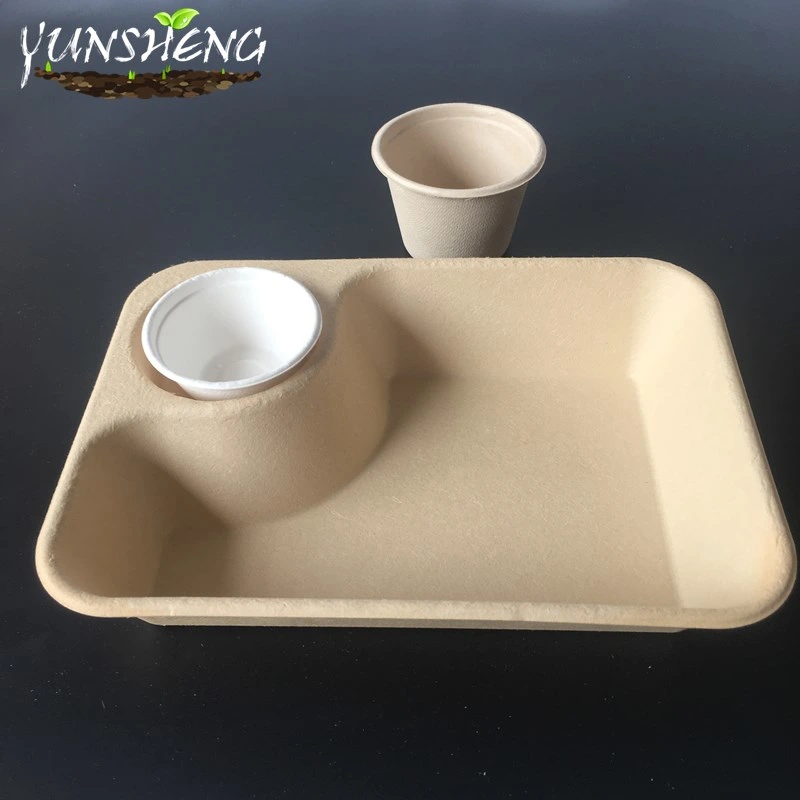 Compostable Disposable Kraft & Bamboo Paper Trays/Rectangle Trays/Round Trays for Party with Several Compartments