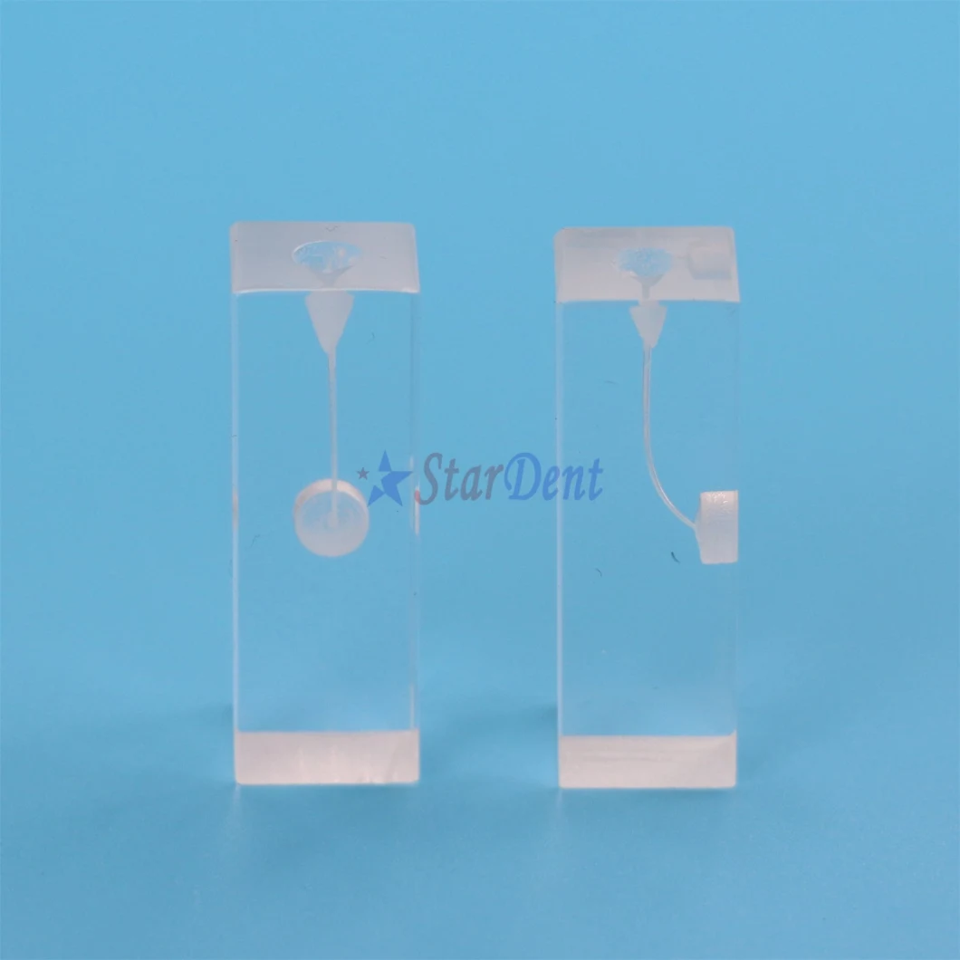 Dental Resin Endo Training Block Endo Files Holder Dental Practicing Model