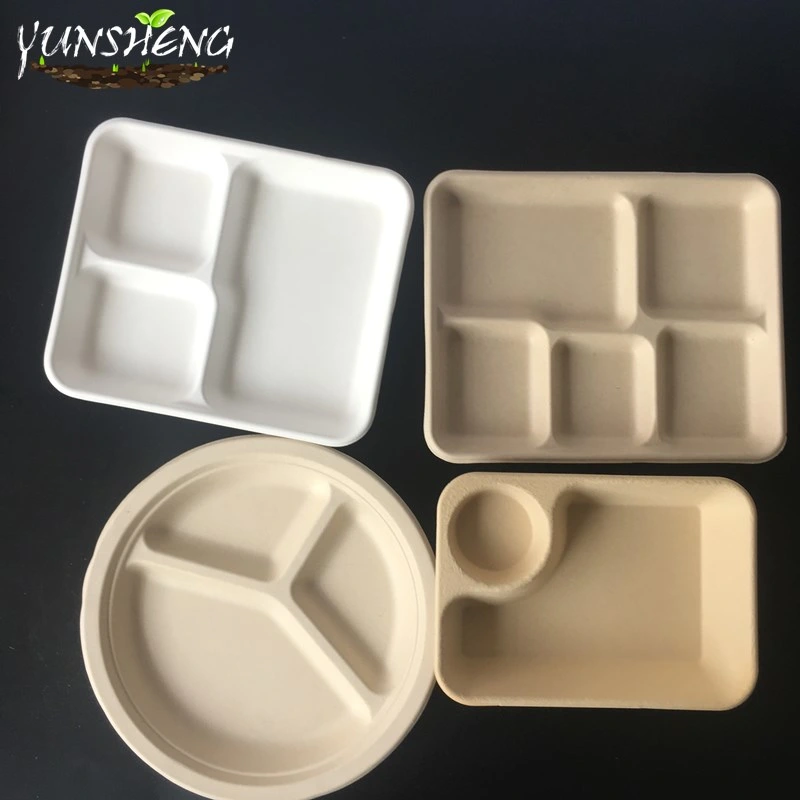 Compostable Disposable Kraft & Bamboo Paper Trays/Rectangle Trays/Round Trays for Party with Several Compartments