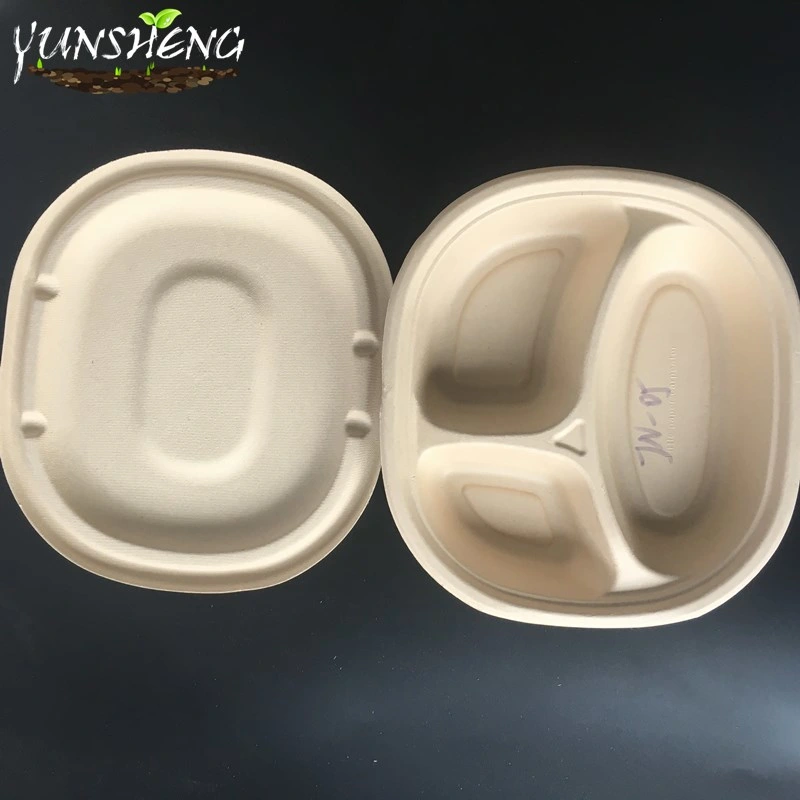 Compostable Disposable Kraft & Bamboo Paper Trays/Rectangle Trays/Round Trays for Party with Several Compartments