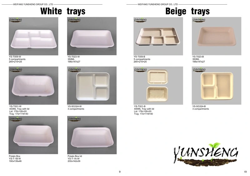 Compostable Disposable Kraft & Bamboo Paper Trays/Rectangle Trays/Round Trays for Party with Several Compartments