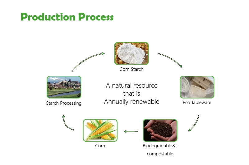 Biodegradable Disposable Food Tray Corn Starch Tray