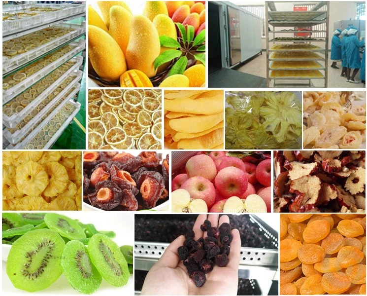 Kinkai Banana Drying Machine Fruit Dehumidifier