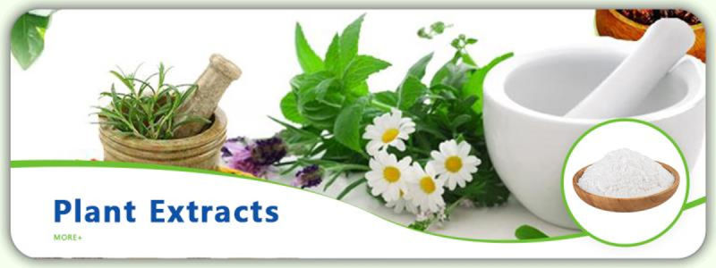 Fresh Fruit Acai Berry Organic Acai Berry Extract Powder 4: 1 Acai Berry