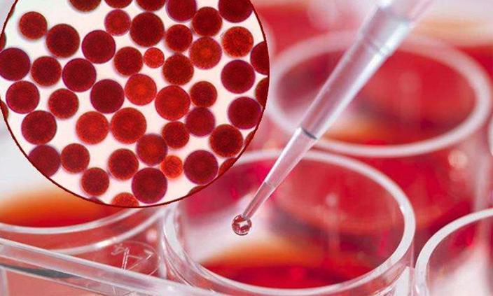 100% Pure Natural Astaxanthin Powder / Astaxanthin Free Sample