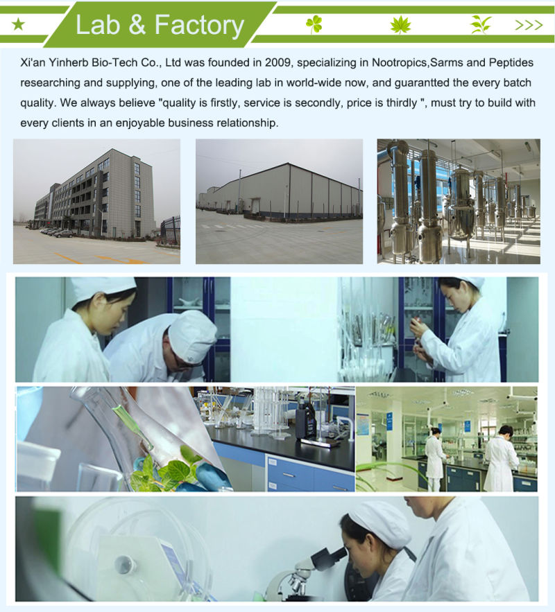 China High Quality Natural Glucoraphanin Broccoli Extract Raw Powder