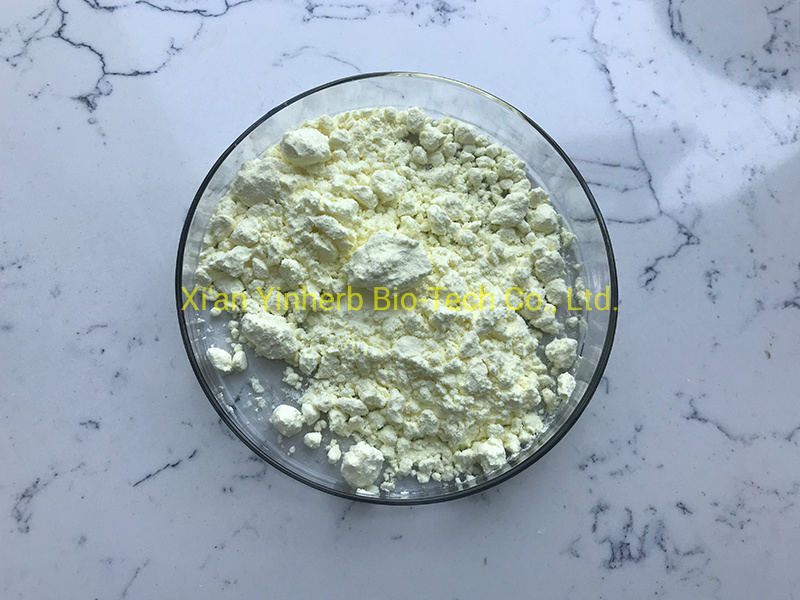 Professional Lab Supply Free Sample 100% Natural Kava Extract Powder