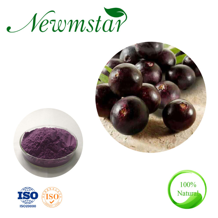 High Quality ISO Certificate Acai Powder, Acai Juice Powder