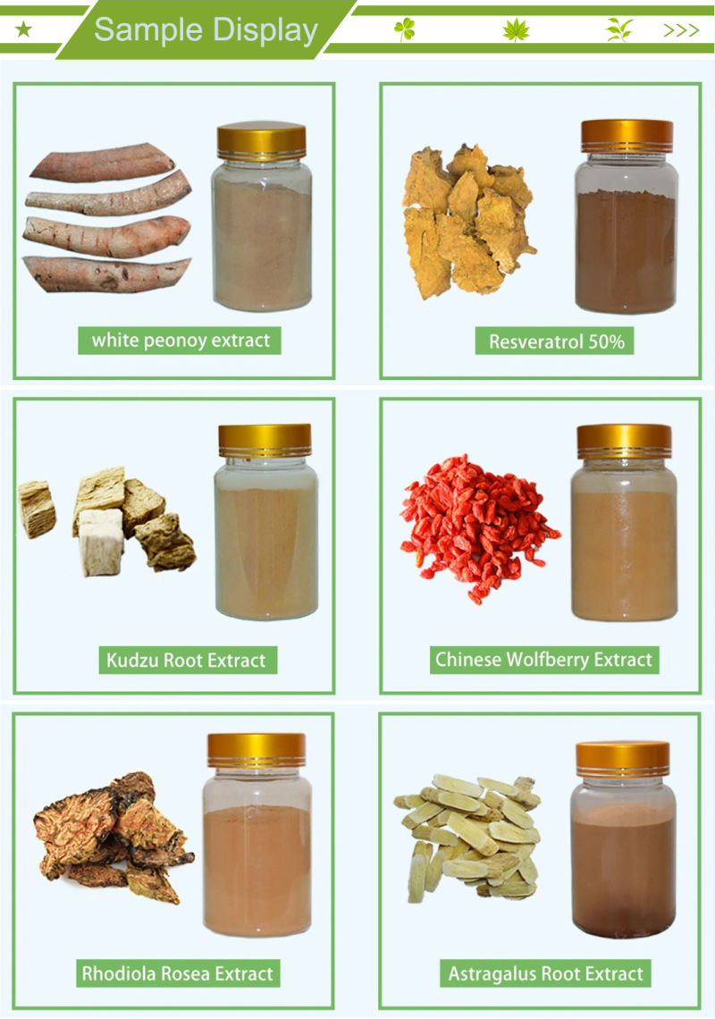 Professional Lab Supply Free Sample 100% Natural Kava Extract Powder