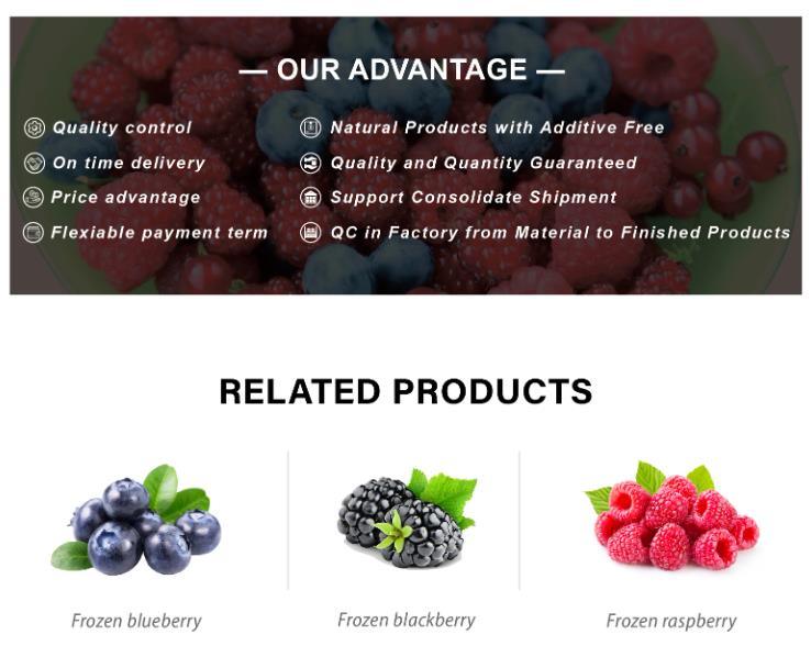 Natural Purple Color and Sweet Taste Frozen Blueberry Whole Fruit