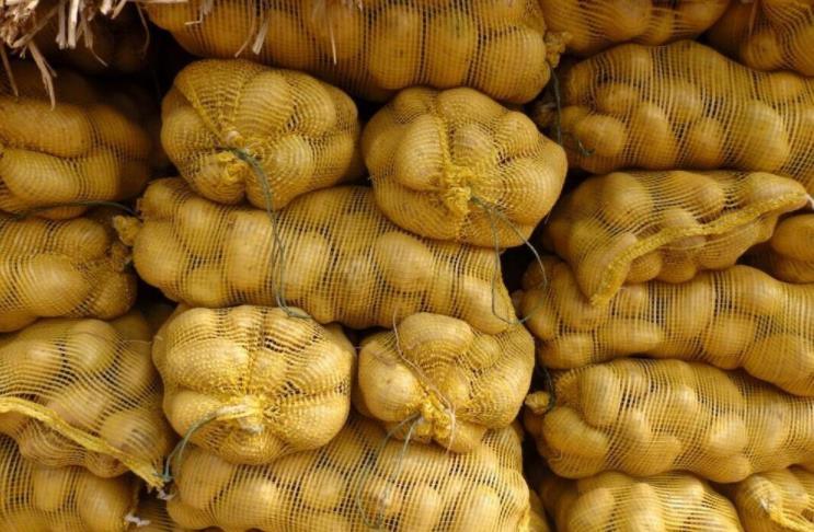 Fresh Vegteables New Harvest Fresh Potato