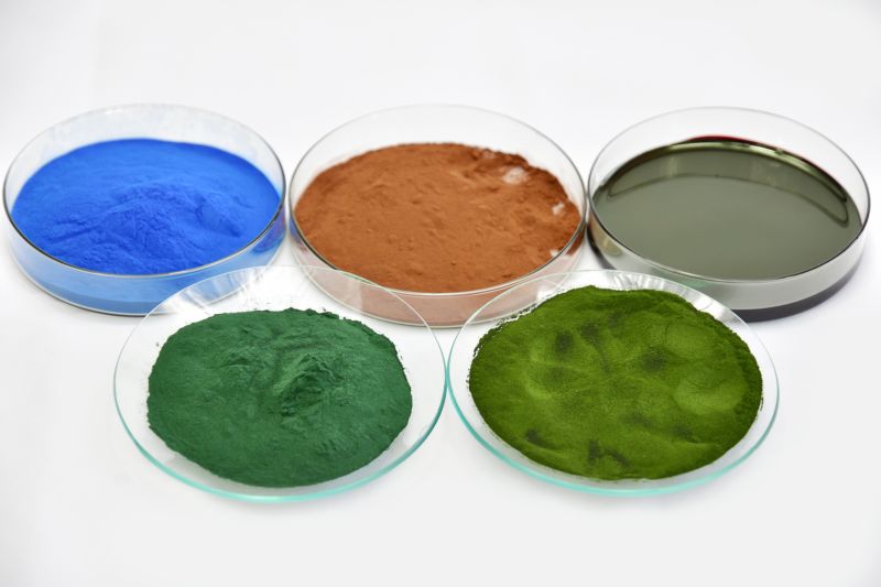 Natural High Quality 4% Astaxanthin Powder CAS 472-61-7