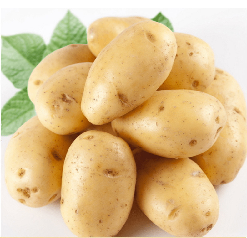 Fresh Vegteables New Harvest Fresh Potato