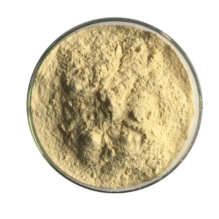 Chinese Herbal Extract Ginseng Ginsenoside for Anti-Tumor
