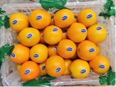 Professional Supplier Fresh Mandarin Orange Fresh Navel Orange