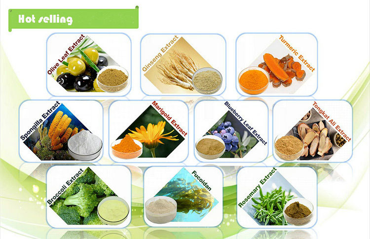 Ginseng Root Extract 5% 80% Ginseng Ginsenosides