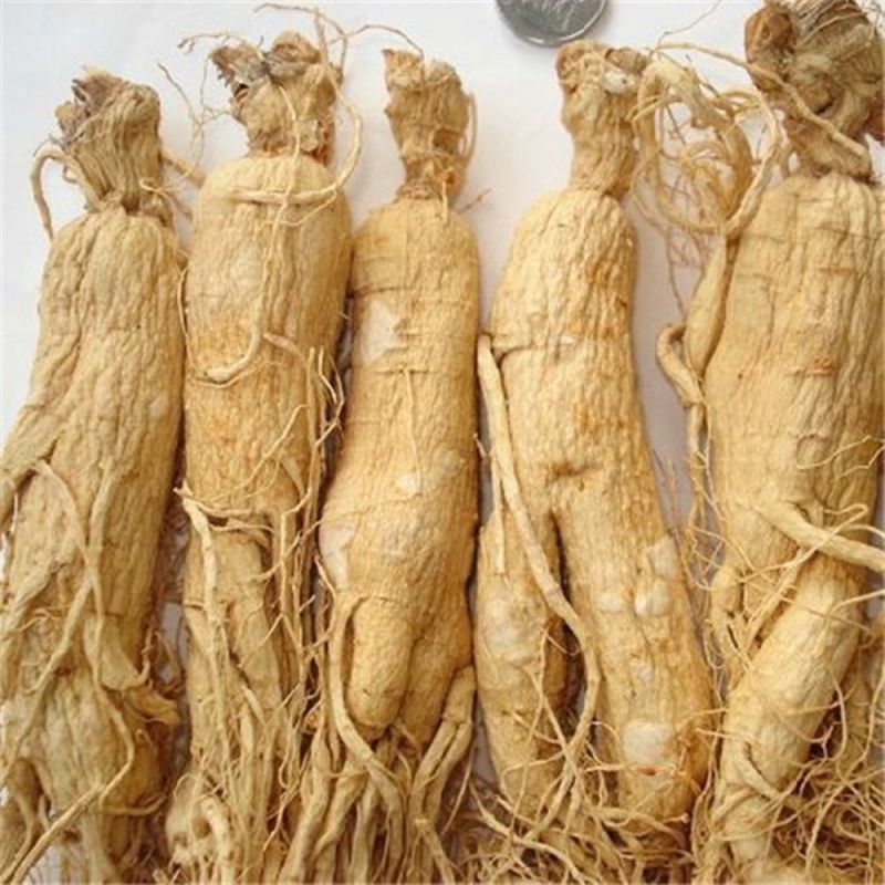 Chinese Herbal Extract Ginseng Ginsenoside for Anti-Tumor