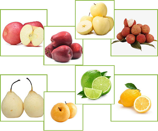 New Crop Chinese Fresh Ya Pear Fresh Fruits