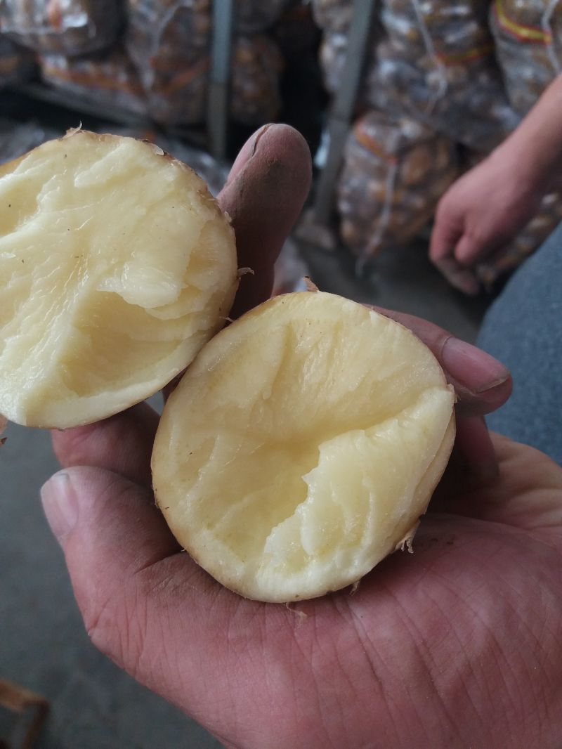 Fresh Potato, Potato, 2020 New Crop Fresh Potato