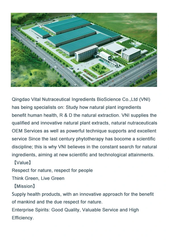 ISO SGS Certified Bee Bread Powder/Corbicular Pollen Powder/Bee Pollen Powder