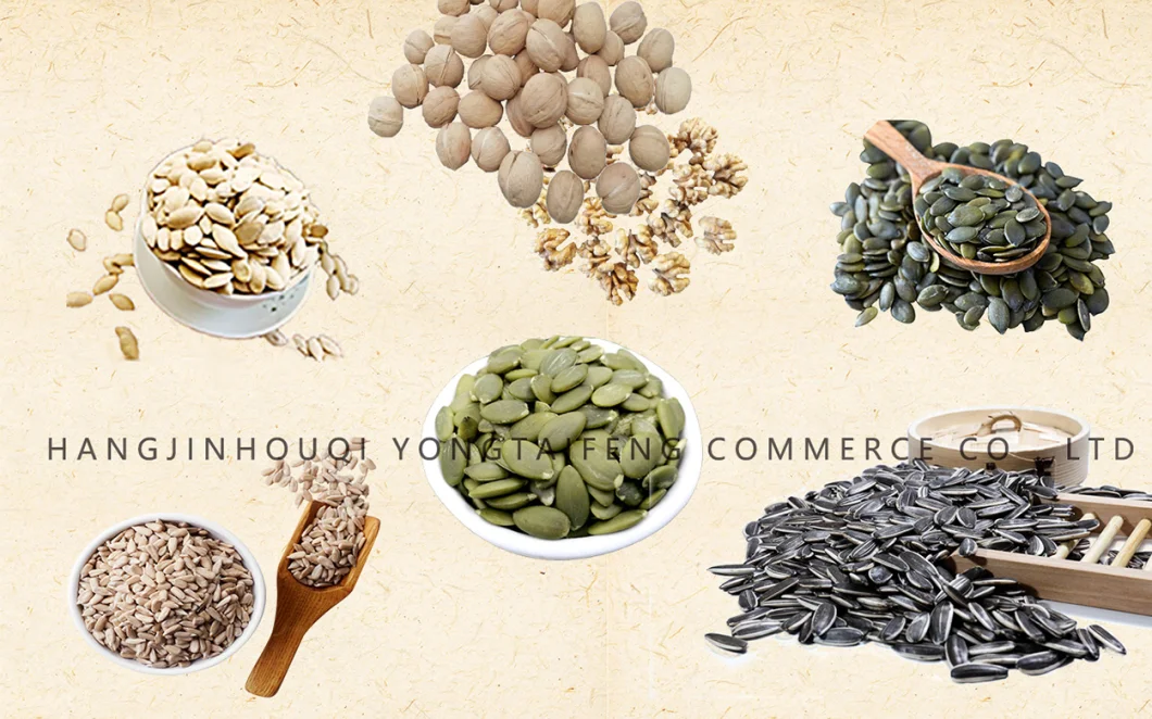 2020 Crop Top Quality Xinjiang Origin Sunflower Seeds /Pumpkin Seed